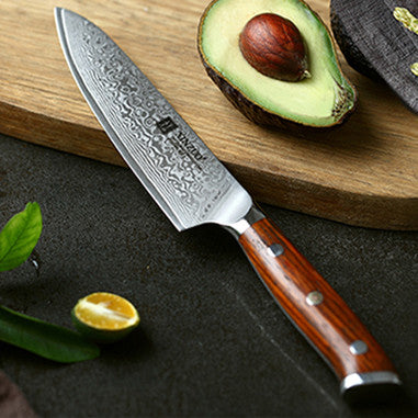 Damascus Steel Universal Knife Fruit Knife 