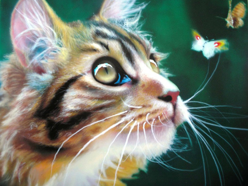 Diamond Embroidery Butterfly Cross Stitch Mosaic Animal Rhinestone Art Painting Cat